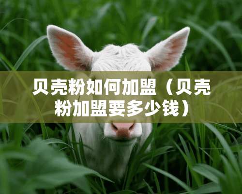 贝壳粉如何加盟（贝壳粉加盟要多少钱）