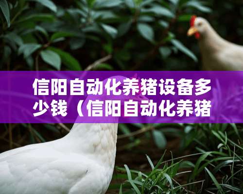 信阳自动化养猪设备多少钱（信阳自动化养猪设备多少钱一个）