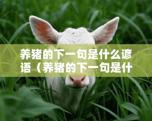 养猪的下一句是什么谚语（养猪的下一句是什么谚语呢）