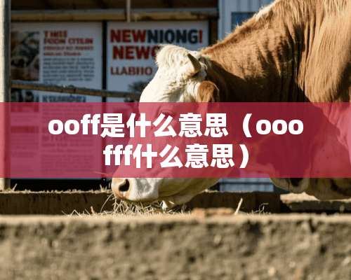 ooff是什么意思（ooofff什么意思）