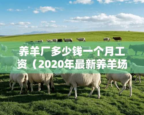 养羊厂多少钱一个月工资（2020年最新养羊场招工包吃住）