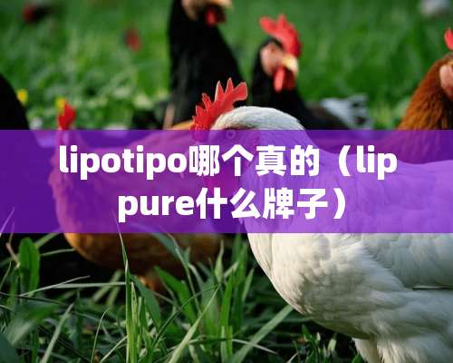 lipotipo哪个真的（lip pure什么牌子）