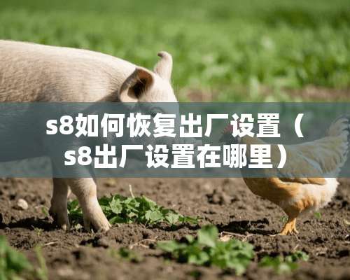 s8如何恢复出厂设置（s8出厂设置在哪里）