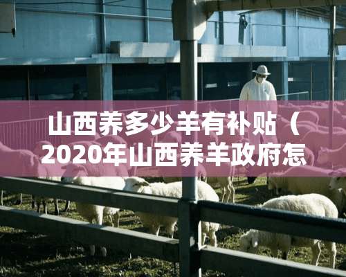 山西养多少羊有补贴（2020年山西养羊**怎么补贴）