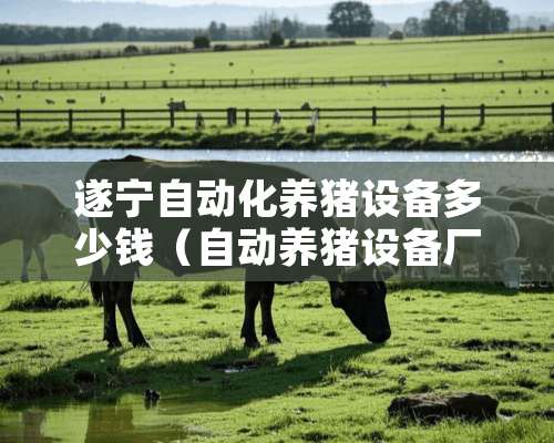 遂宁自动化养猪设备多少钱（自动养猪设备厂商）