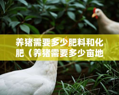 养猪需要多少肥料和化肥（养猪需要多少亩地）