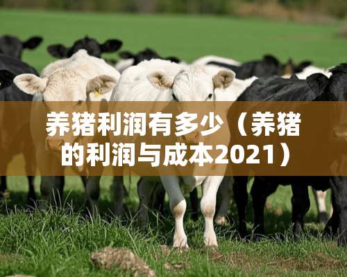 养猪利润有多少（养猪的利润与成本2021）