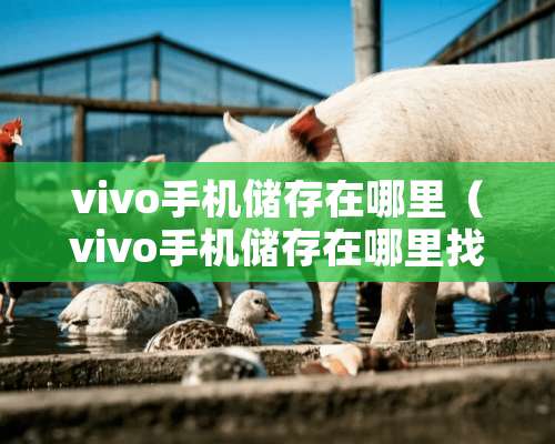 vivo手机储存在哪里（vivo手机储存在***）