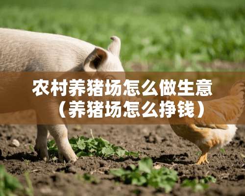 农村养猪场怎么做生意（养猪场怎么挣钱）