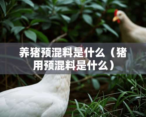 养猪预混料是什么（猪用预混料是什么）