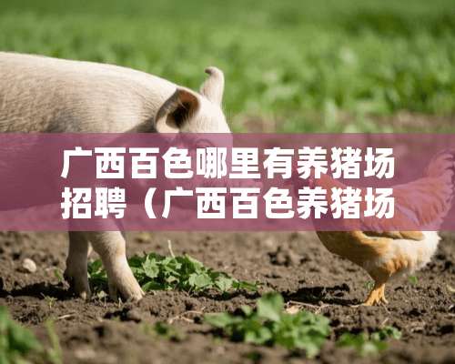 广西百色哪里有养猪场招聘（广西百色养猪场招工信息）