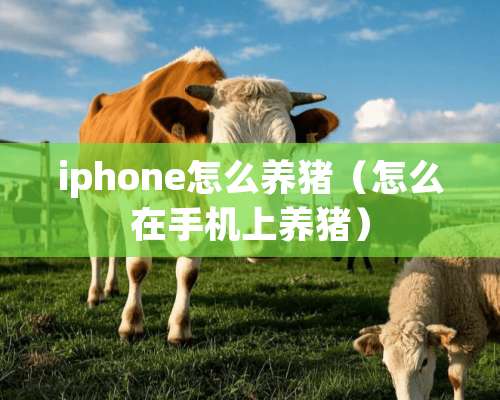 iphone怎么养猪（怎么在手机上养猪）