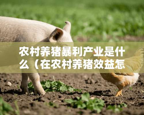 农村养猪暴利产业是什么（在农村养猪效益怎么样）