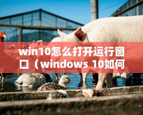 win10怎么打开运行窗口（windows 10如何打开运行）