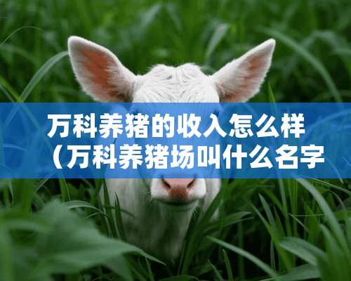 万科养猪的收入怎么样（万科养猪场叫什么名字）