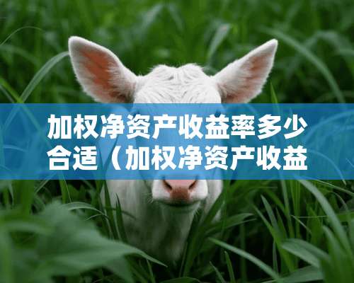 加权净资产收益率多少合适（加权净资产收益率怎么看）