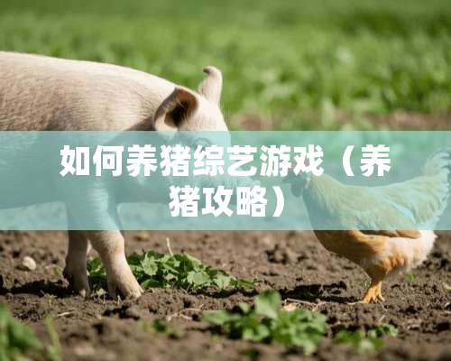 如何养猪综艺游戏（养猪攻略）