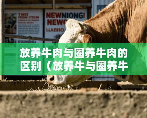 放养牛肉与圈养牛肉的区别（放养牛与圈养牛肉有哪些区别）