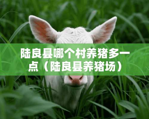 陆良县哪个村养猪多一点（陆良县养猪场）