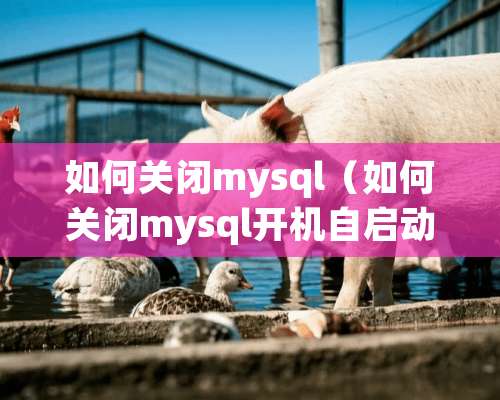 如何关闭mysql（如何关闭mysql开机自启动）