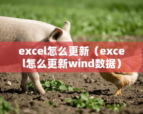 excel怎么更新（excel怎么更新wind数据）