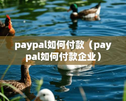 paypal如何付款（paypal如何付款企业）