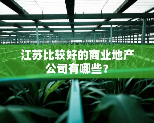 江苏比较好的商业地产公司有哪些？