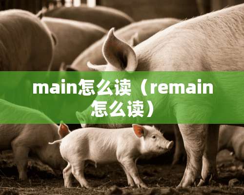 main怎么读（remain怎么读）