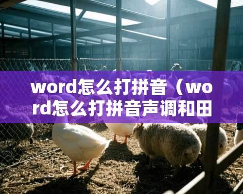 word怎么打拼音（word怎么打拼音声调和田字格）