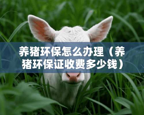 养猪环保怎么办理（养猪环保证收费多少钱）