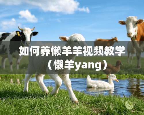 如何养懒羊羊视频教学（懒羊yang）