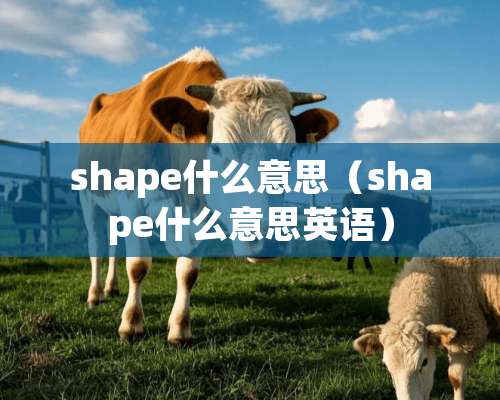 shape什么意思（shape什么意思英语）