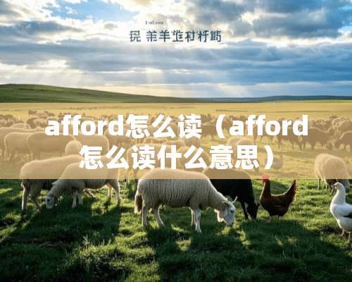 afford怎么读（afford怎么读什么意思）