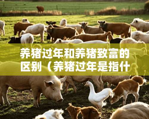 养猪过年和养猪致富的区别（养猪过年是指什么生肖）