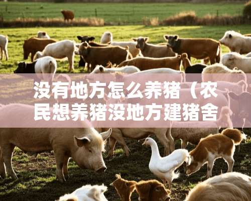 没有地方怎么养猪（农民想养猪没地方建猪舍怎么办）