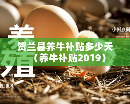 贺兰县养牛补贴多少天（养牛补贴2019）