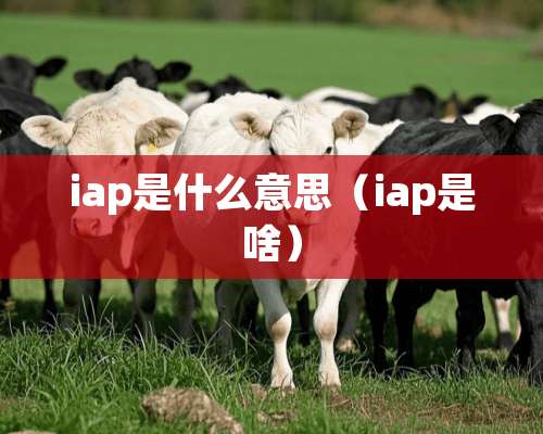 iap是什么意思（iap是啥）