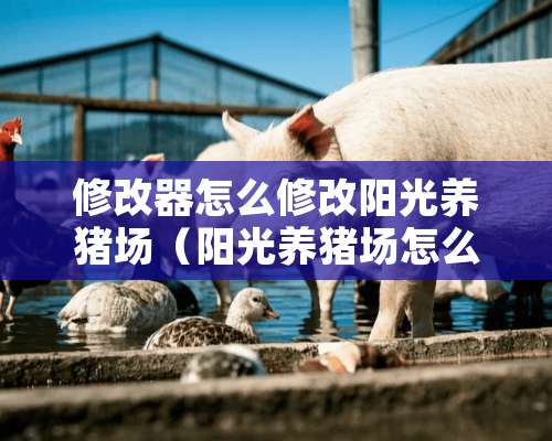 修改器怎么修改阳光养猪场（阳光养猪场怎么修改金币）