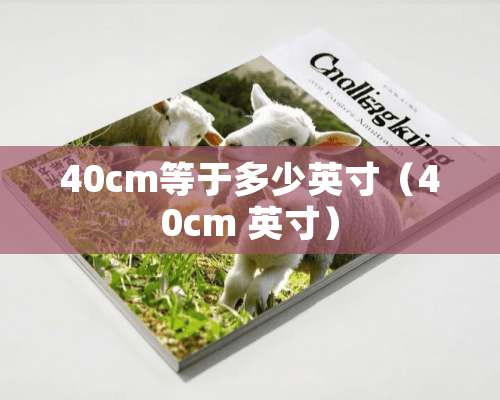 40cm等于多少英寸（40cm 英寸）