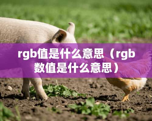 rgb值是什么意思（rgb数值是什么意思）