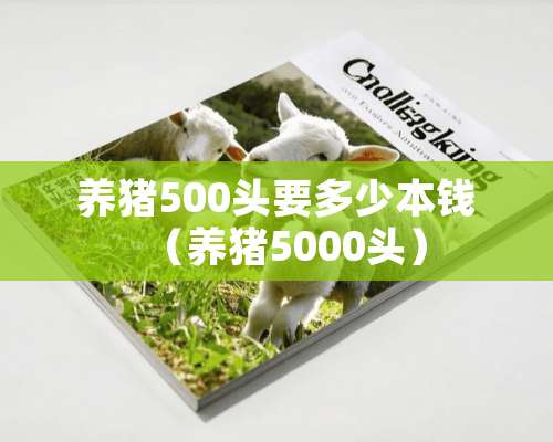 养猪500头要多少本钱（养猪5000头）