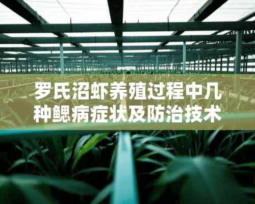 罗氏沼虾养殖过程中几种鳃病症状及防治技术