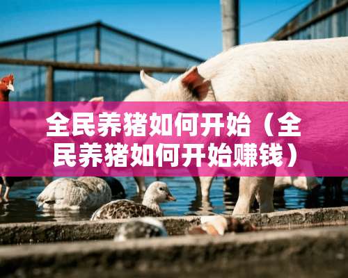 全民养猪如何开始（全民养猪如何开始赚钱）