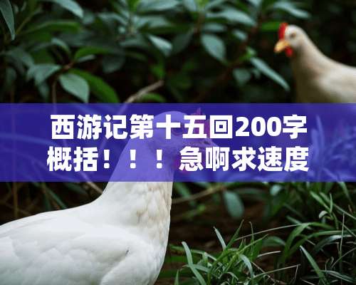 西游记第十五回200字概括！！！急啊求速度！！！！！！！！！！！！