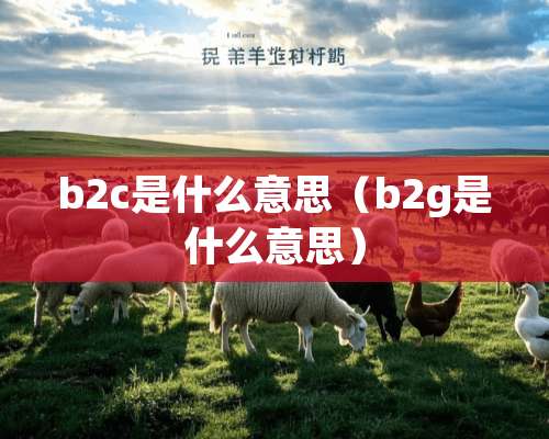 b2c是什么意思（b2g是什么意思）