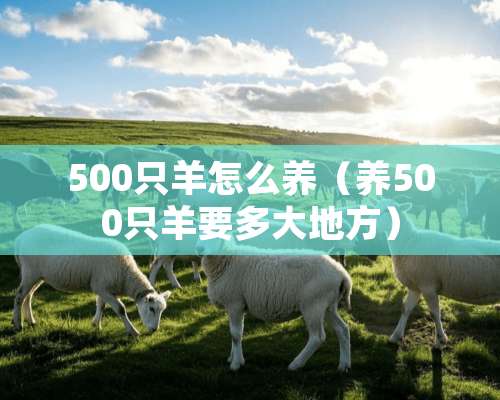 500只羊怎么养（养500只羊要多大地方）