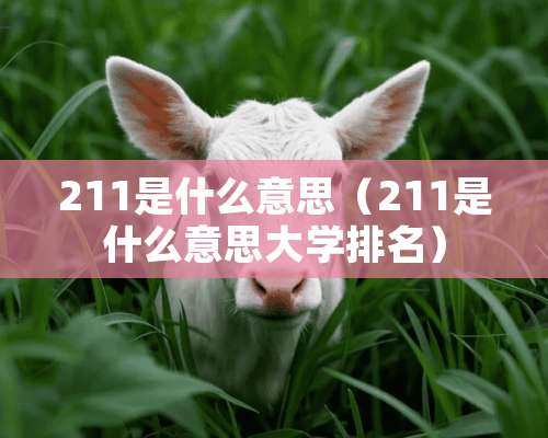 211是什么意思（211是什么意思大学排名）