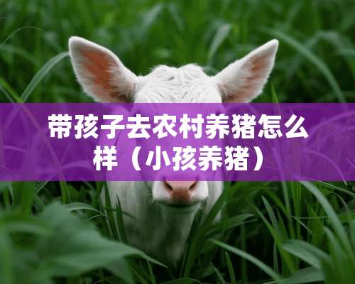 带孩子去农村养猪怎么样（小孩养猪）