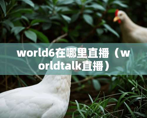 world6在哪里直播（worldtalk直播）