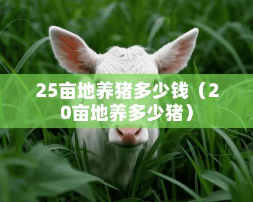 25亩地养猪多少钱（20亩地养多少猪）